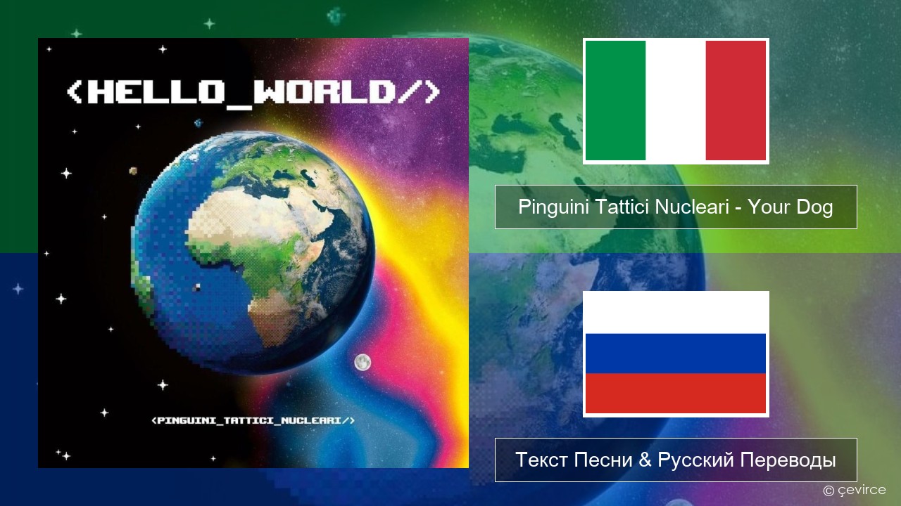 Pinguini Tattici Nucleari – Your Dog Итальянский Текст Песни & Русский Переводы