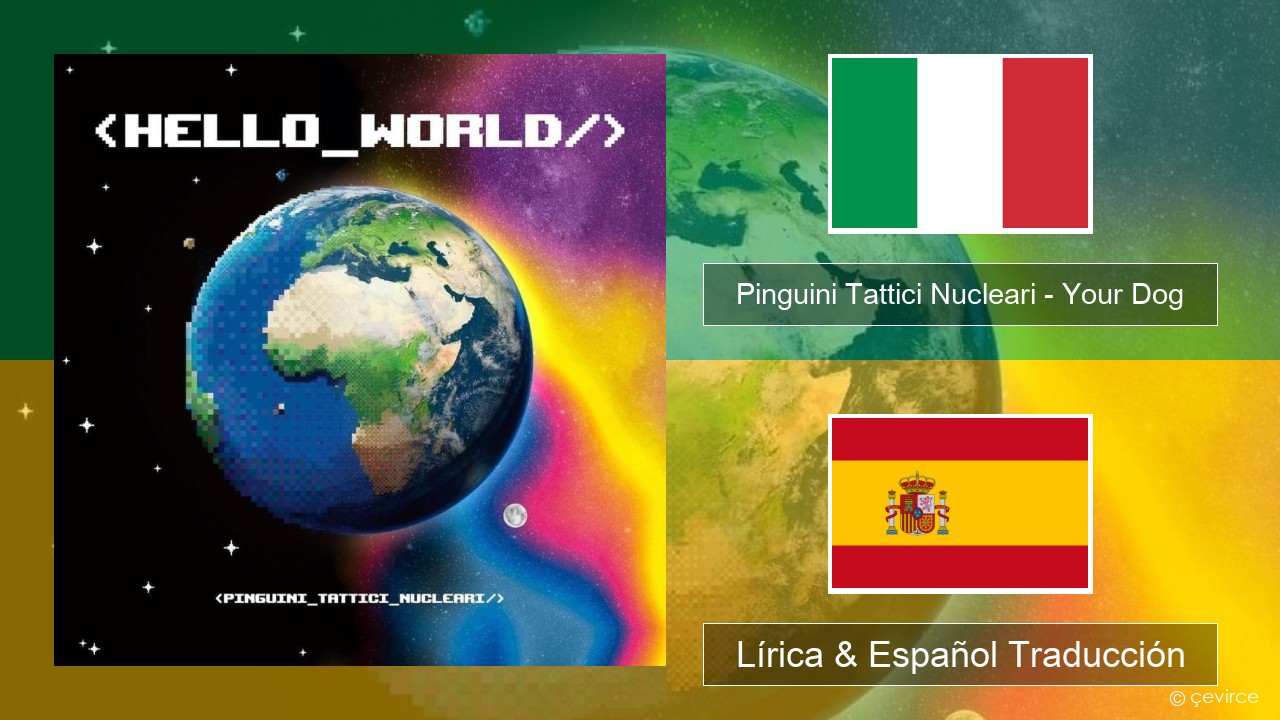 Pinguini Tattici Nucleari – Your Dog Italiano Lírica & Español Traducción