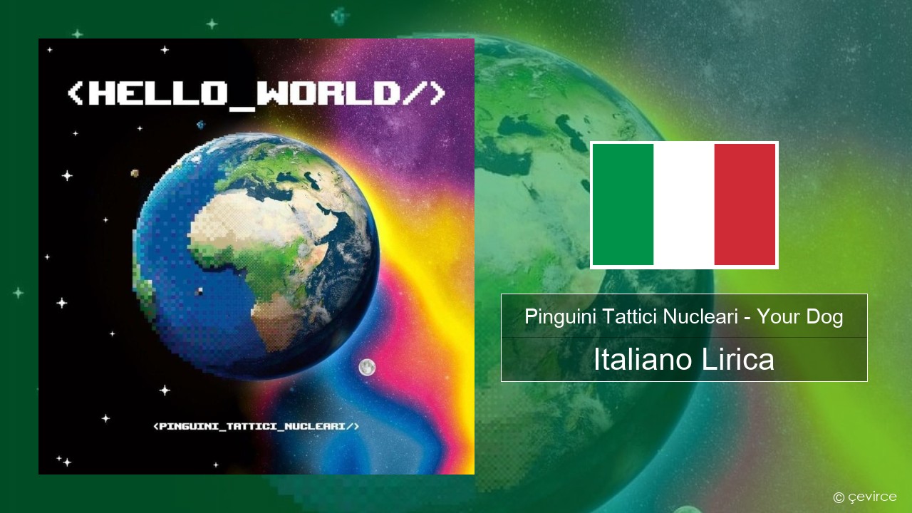 Pinguini Tattici Nucleari – Your Dog Italiano Lirica