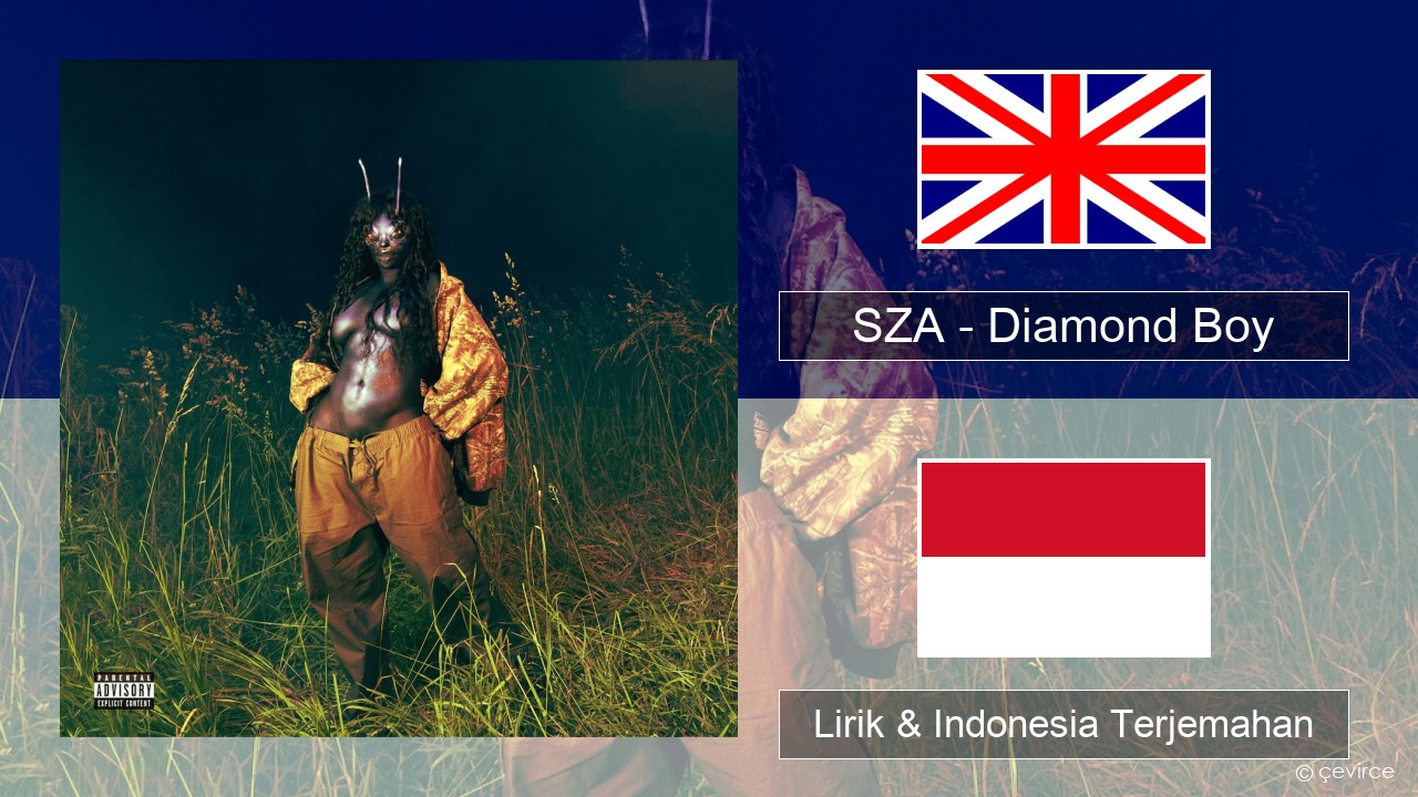 SZA – Diamond Boy (DTM) Bahasa Indonesia Lirik & Indonesia Terjemahan