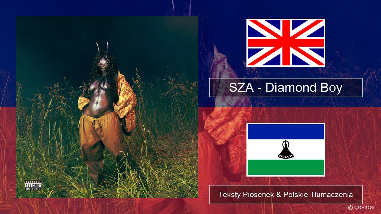 SZA – Diamond Boy (DTM) Polski Teksty Piosenek & Polskie Tłumaczenia