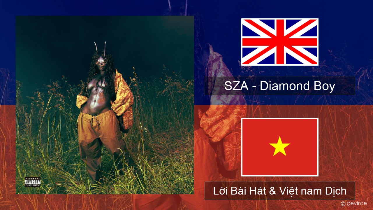 SZA – Diamond Boy (DTM) Tiếng anh Lời Bài Hát & Việt nam Dịch