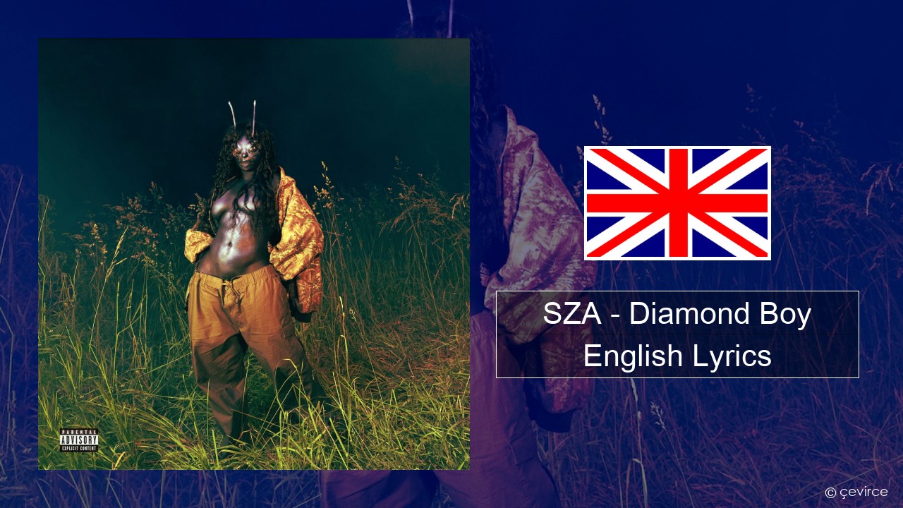 SZA – Diamond Boy (DTM) English Lyrics