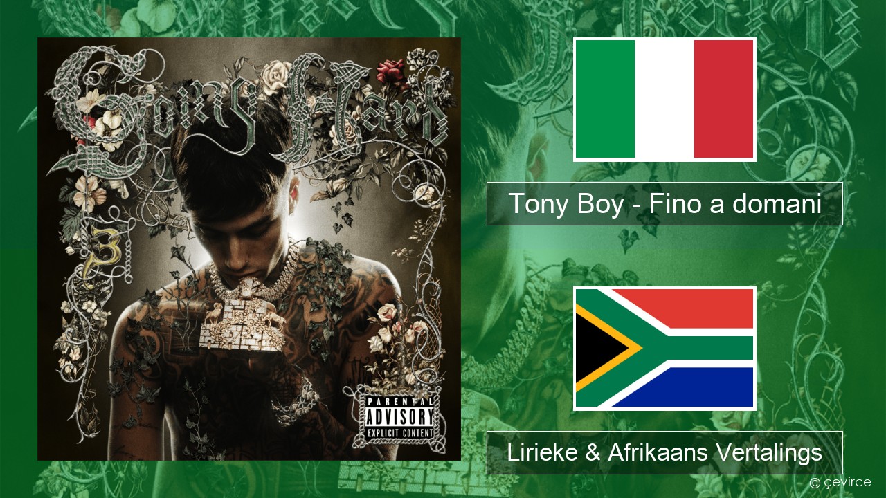 Tony Boy – Fino a domani Italiaanse Lirieke & Afrikaans Vertalings