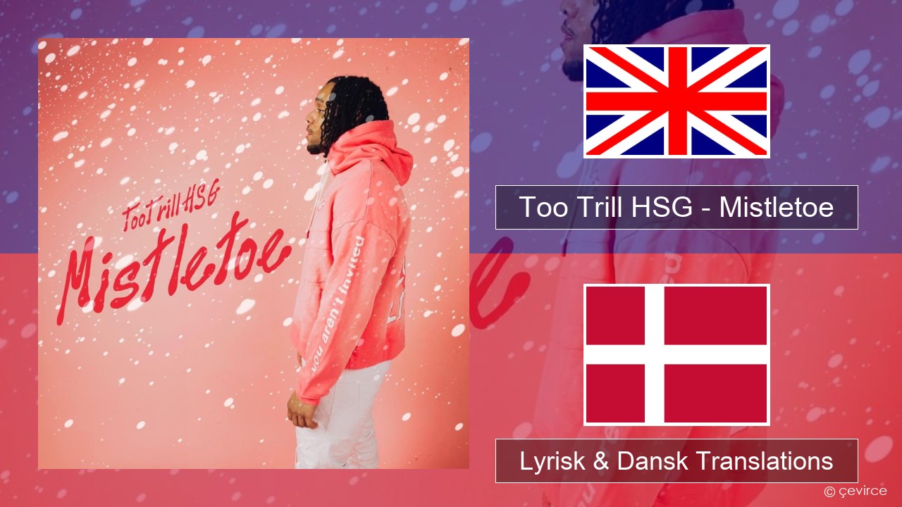 Too Trill HSG – Mistletoe Engelsk Lyrisk & Dansk Translations