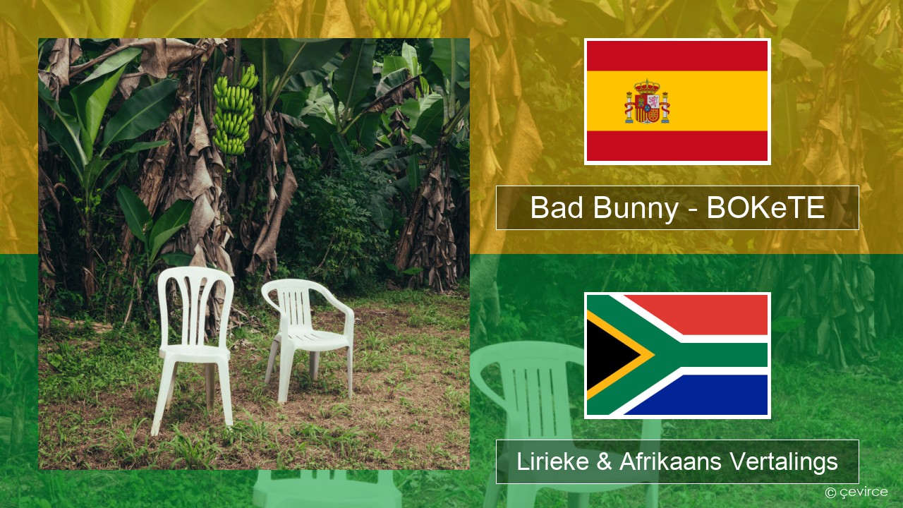 Bad Bunny – BOKeTE Spaanse Lirieke & Afrikaans Vertalings