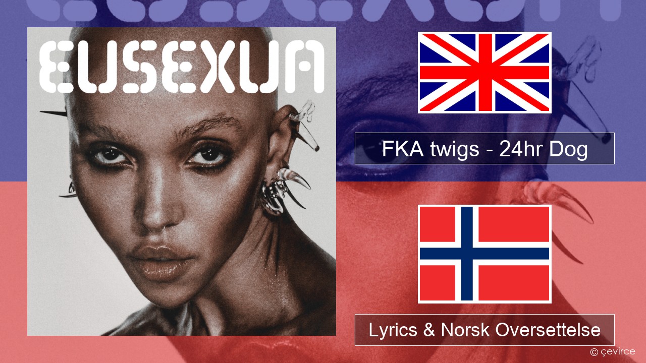 FKA twigs – 24hr Dog Engelsk Lyrics & Norsk Oversettelse