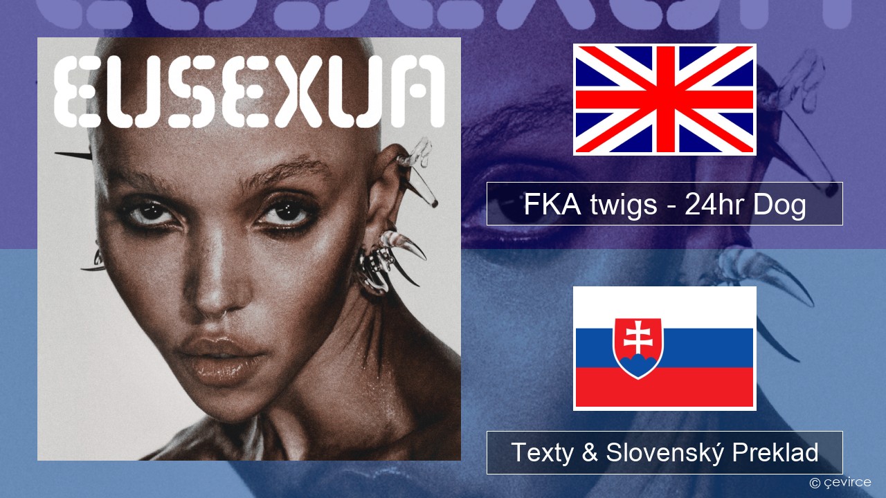 FKA twigs – 24hr Dog Anglický Texty & Slovenský Preklad