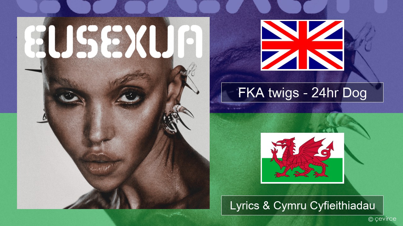 FKA twigs – 24hr Dog Saesneg Lyrics & Cymru Cyfieithiadau