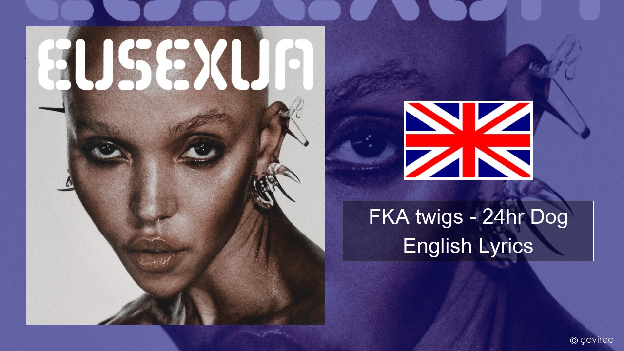 FKA twigs – 24hr Dog English Lyrics