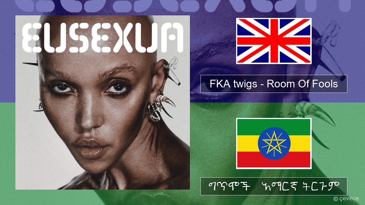 FKA twigs – Room Of Fools አማርኛ ግጥሞች & አማርኛ ትርጉም