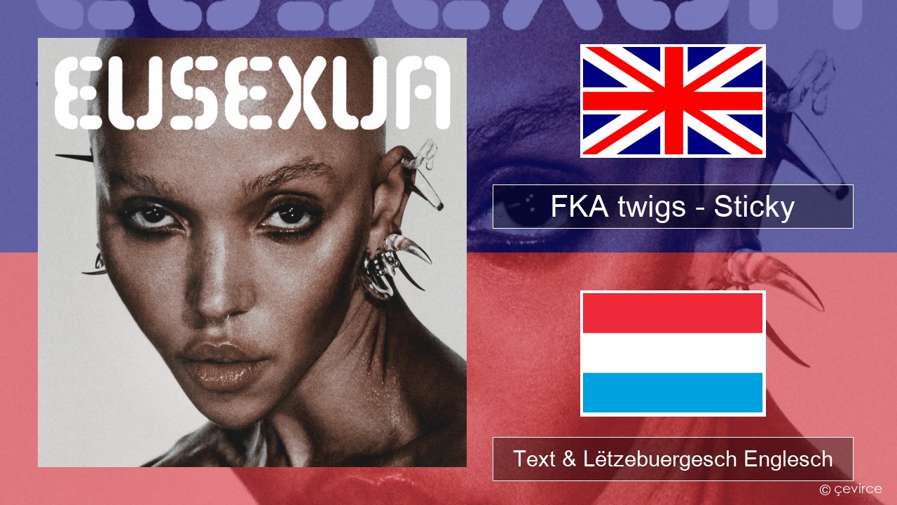 FKA twigs – Sticky Englisch Text & Lëtzebuergesch Englesch