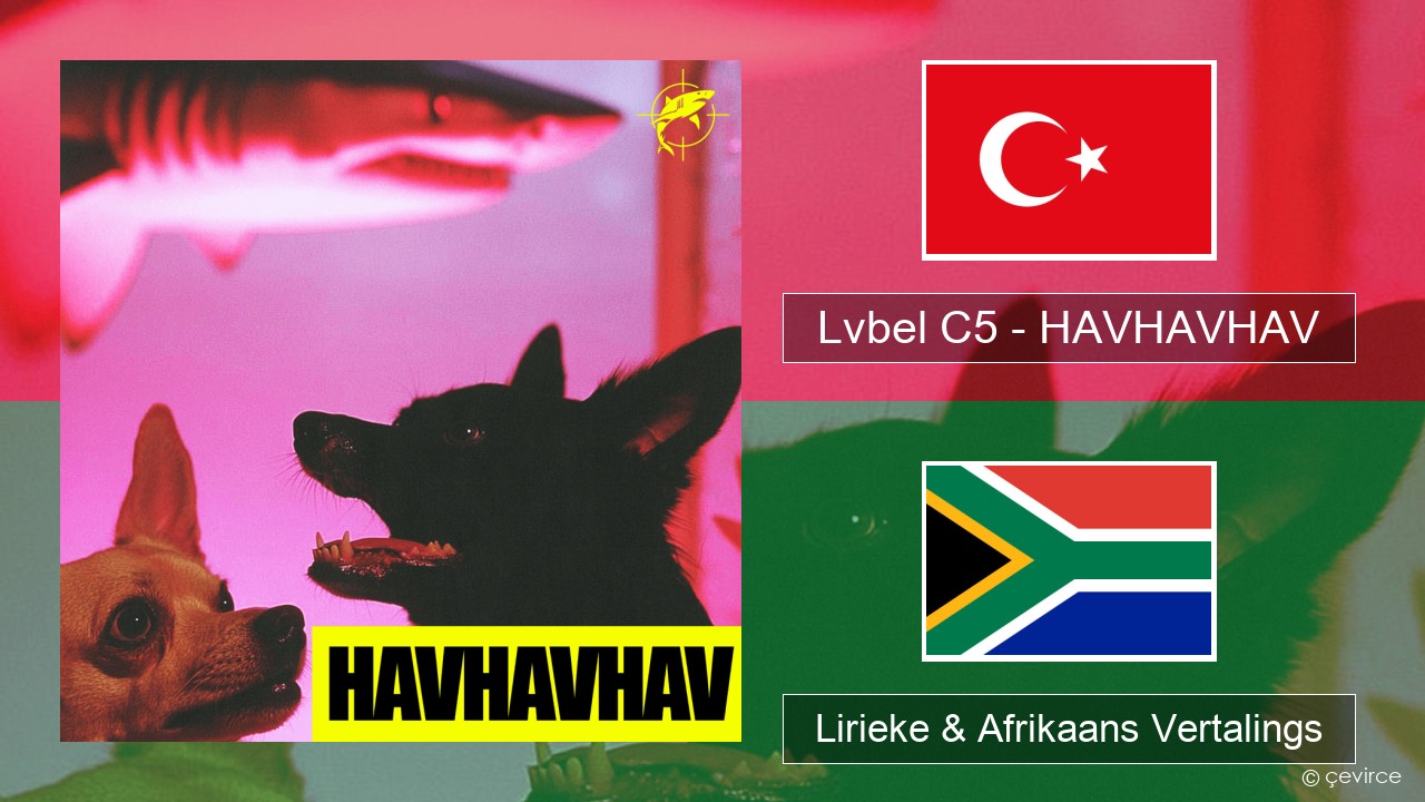 Lvbel C5 – HAVHAVHAV Turks Lirieke & Afrikaans Vertalings