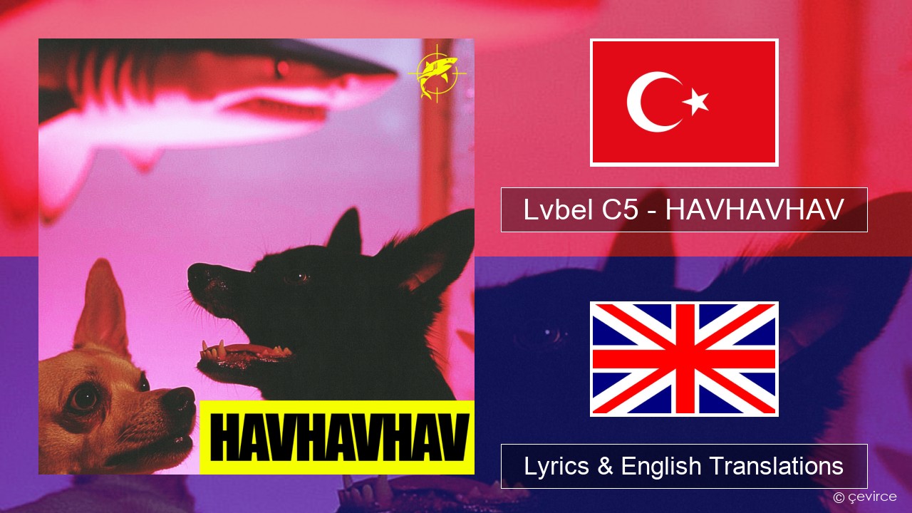 Lvbel C5 – HAVHAVHAV Turkish Lyrics & English Translations