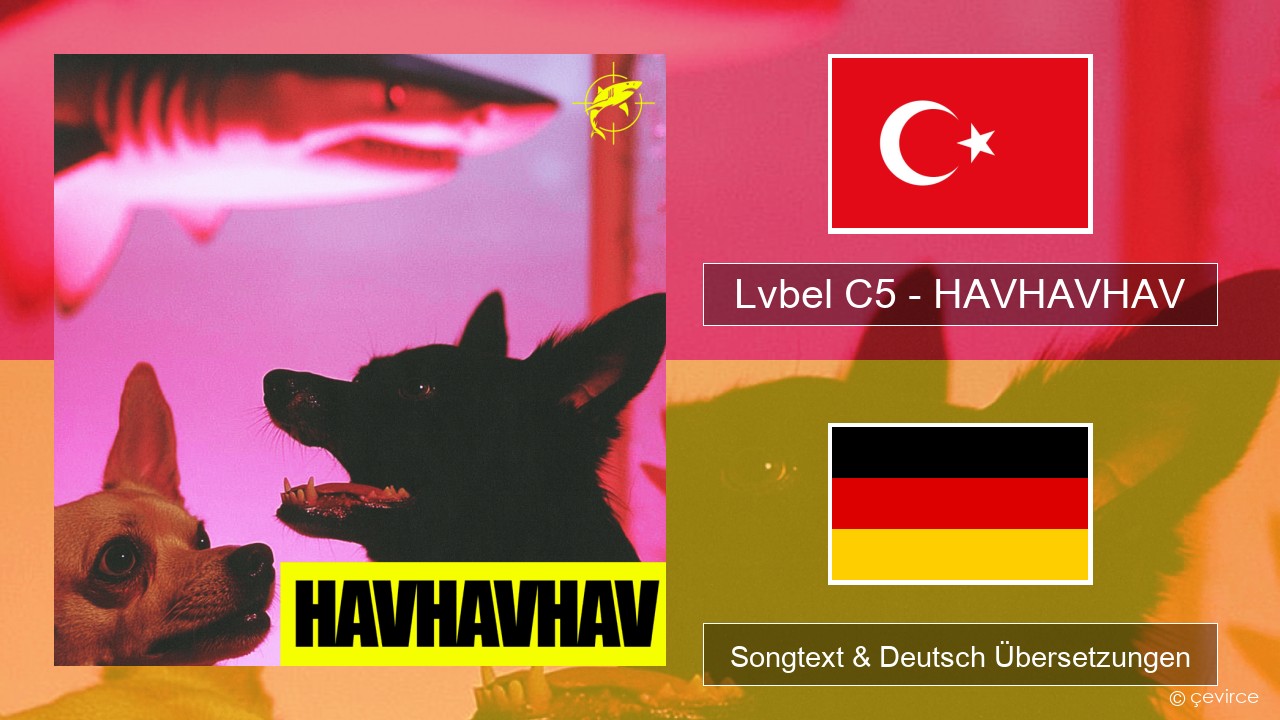 Lvbel C5 – HAVHAVHAV Türkisch Songtext & Deutsch Übersetzungen