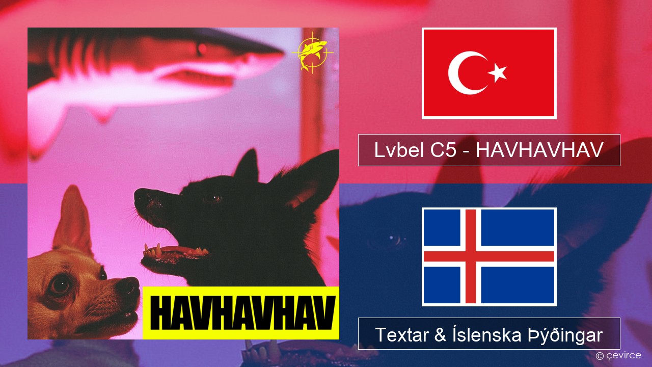 Lvbel C5 – HAVHAVHAV Tyrkneska Textar & Íslenska Þýðingar