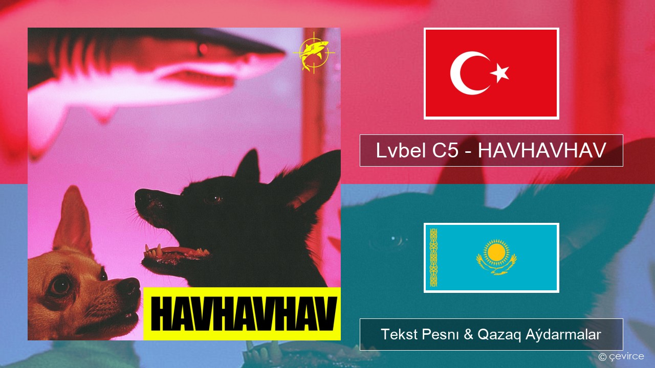 Lvbel C5 – HAVHAVHAV Túrik Tekst Pesnı & Qazaq (latyn) Aýdarmalar