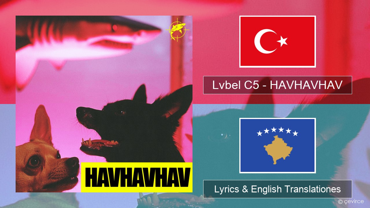 Lvbel C5 – HAVHAVHAV Turkish Lyrics & English Translationes