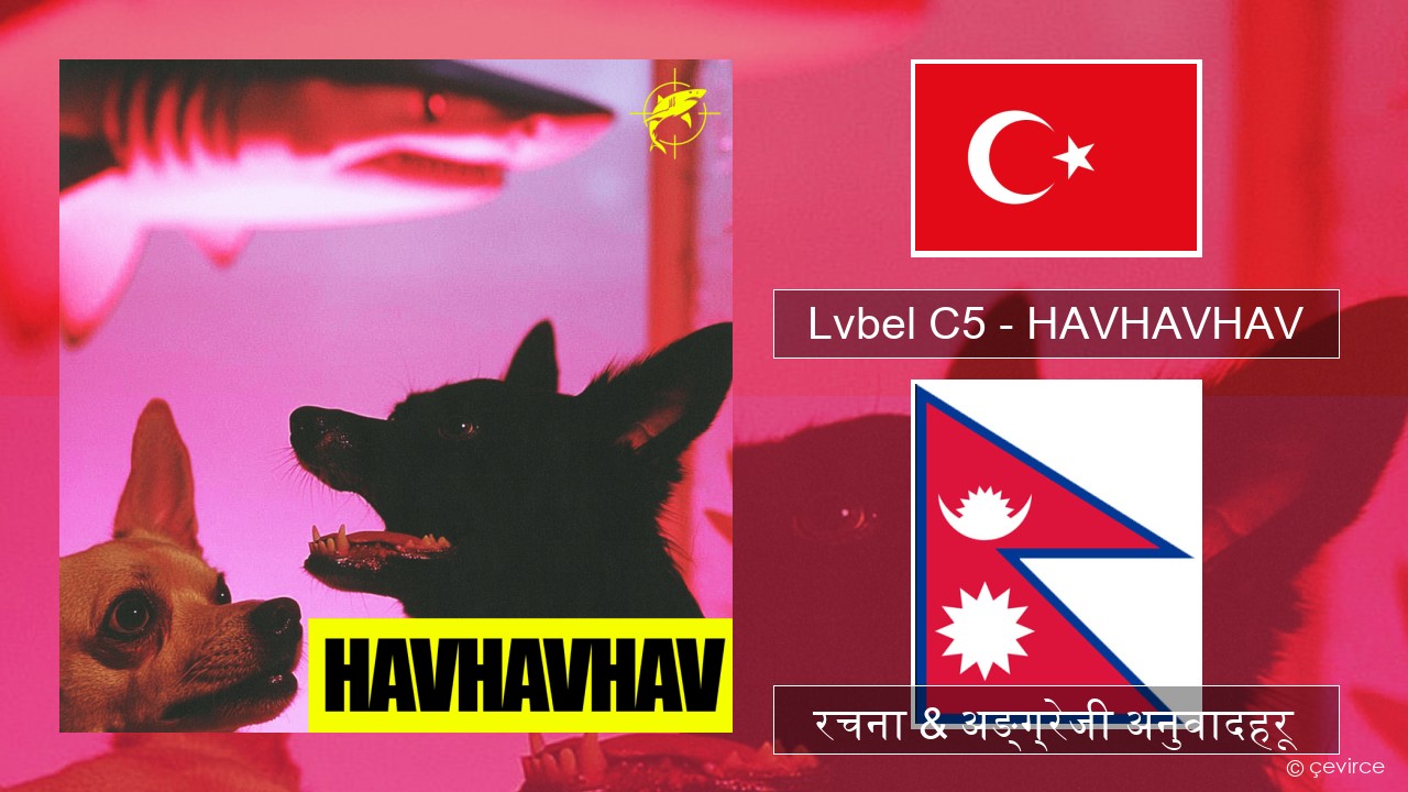 Lvbel C5 – HAVHAVHAV टर्कीस रचना & अङ्ग्रेजी अनुवादहरू