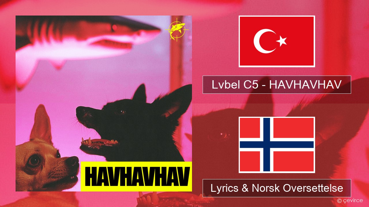 Lvbel C5 – HAVHAVHAV Tyrkia Lyrics & Norsk Oversettelse