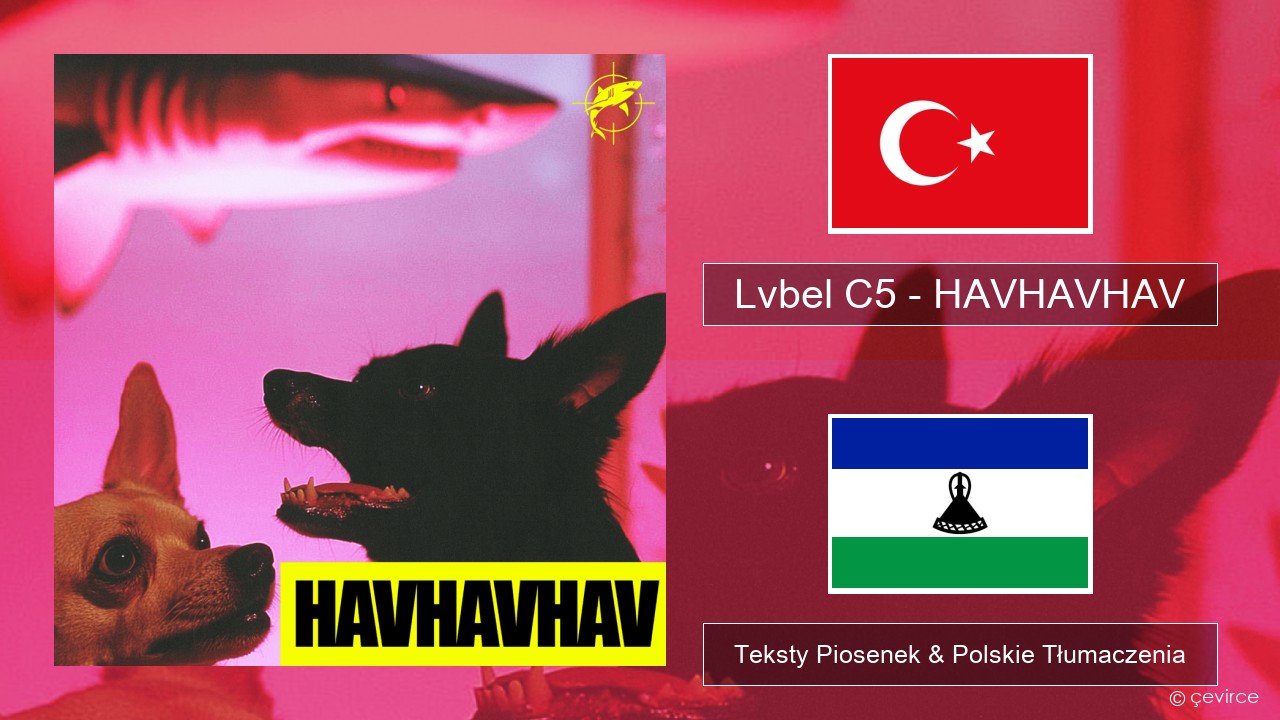 Lvbel C5 – HAVHAVHAV Turecki Teksty Piosenek & Polskie Tłumaczenia