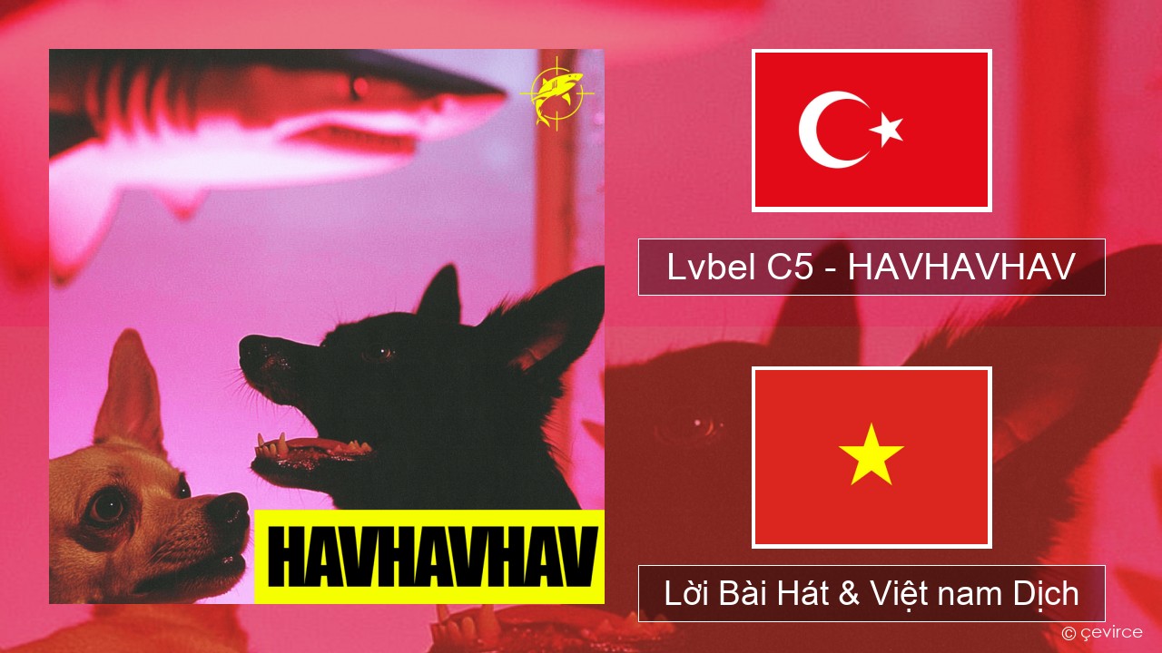 Lvbel C5 – HAVHAVHAV Thổ nhĩ kỳ Lời Bài Hát & Việt nam Dịch