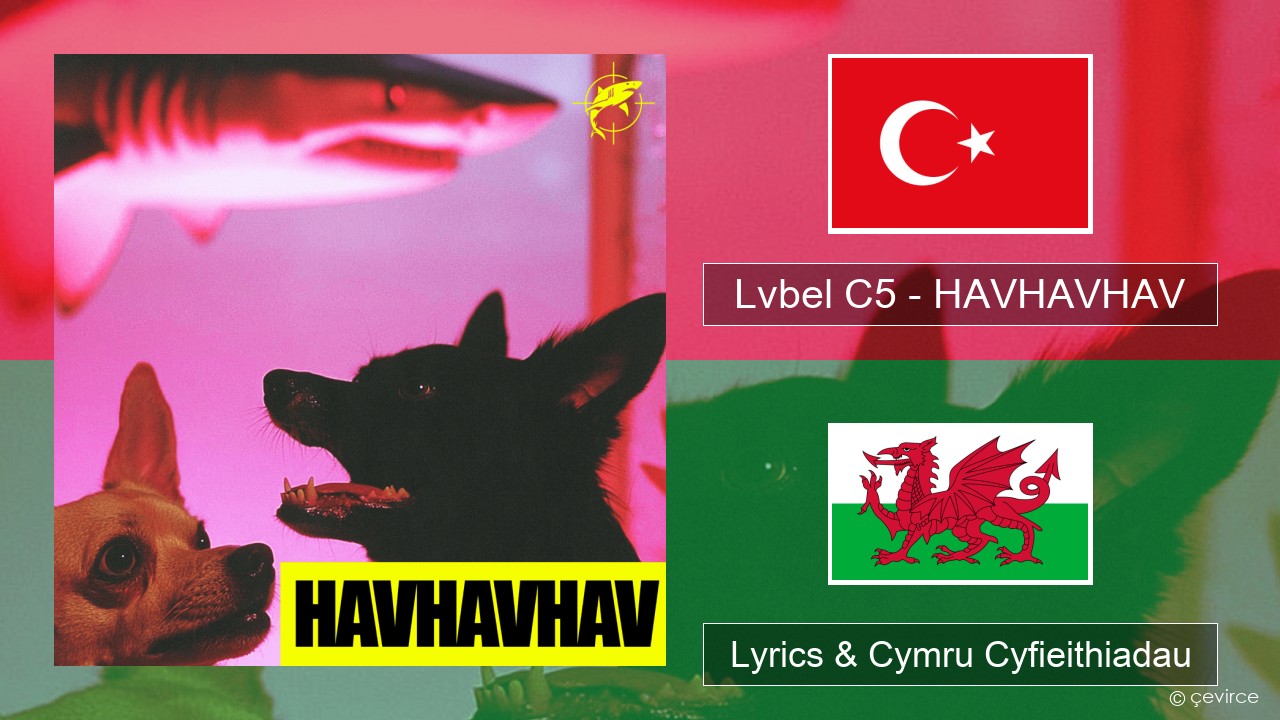 Lvbel C5 – HAVHAVHAV Twrcaidd Lyrics & Cymru Cyfieithiadau