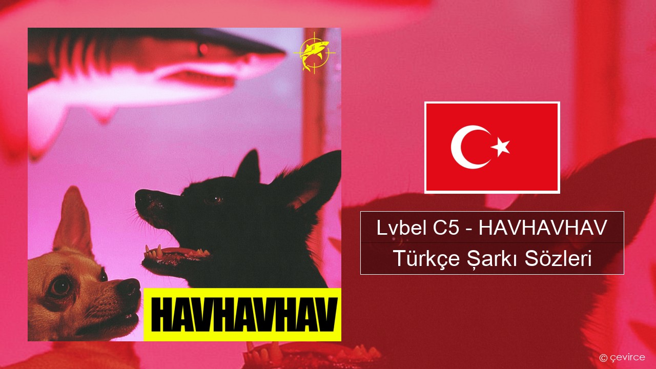 Lvbel C5 – HAVHAVHAV Türkçe Şarkı Sözleri