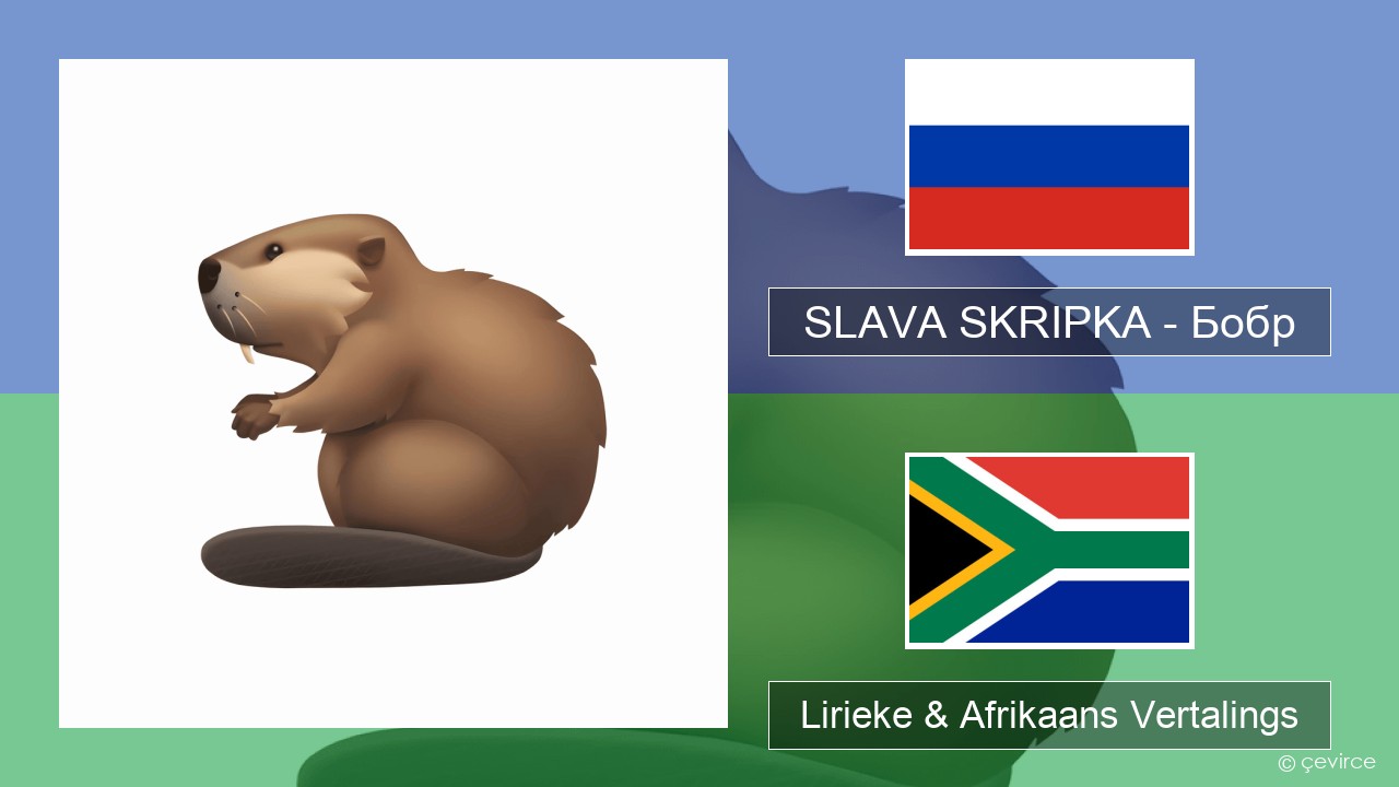 SLAVA SKRIPKA – Бобр (Beaver) Russies Lirieke & Afrikaans Vertalings