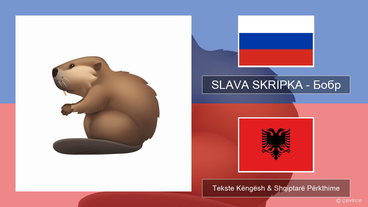 SLAVA SKRIPKA – Бобр (Beaver) Ruse Tekste Këngësh & Shqiptarë Përkthime