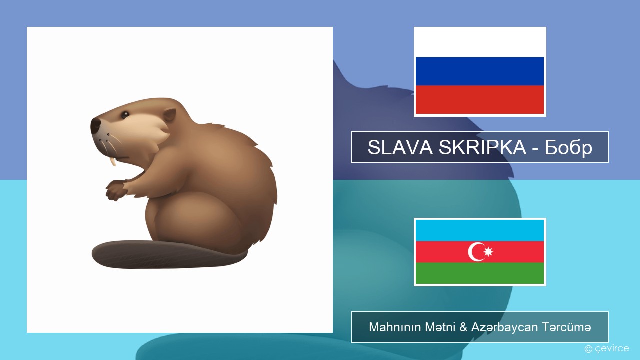 SLAVA SKRIPKA – Бобр (Beaver) Azerbaycan Mahnının Mətni & Azərbaycan Tərcümə