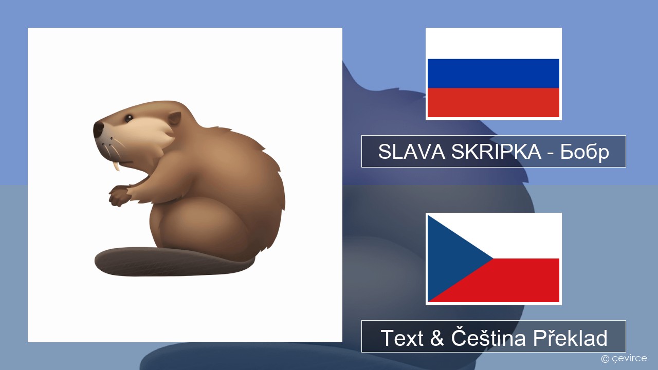 SLAVA SKRIPKA – Бобр (Beaver) Ruština Text & Čeština Překlad