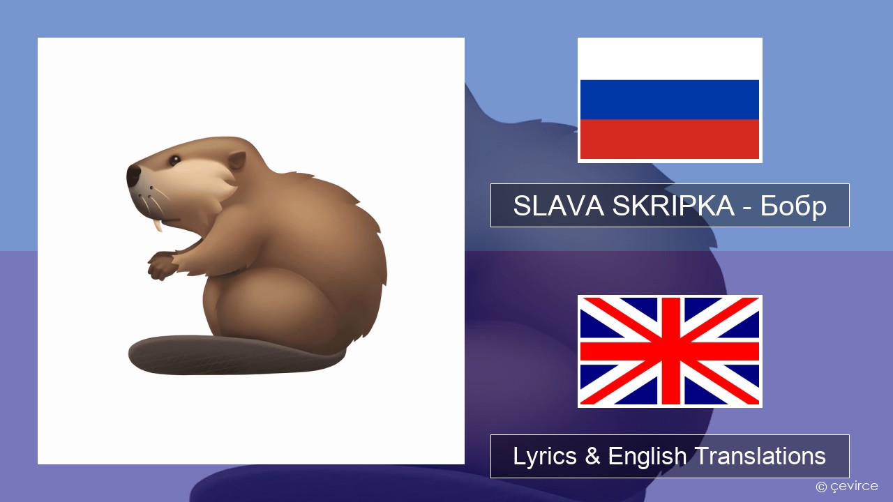 SLAVA SKRIPKA – Бобр (Beaver) Russian Lyrics & English Translations