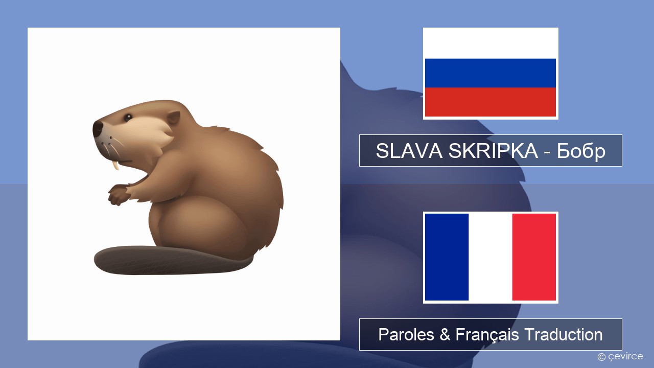 SLAVA SKRIPKA – Бобр (Beaver) Russe Paroles & Français Traduction