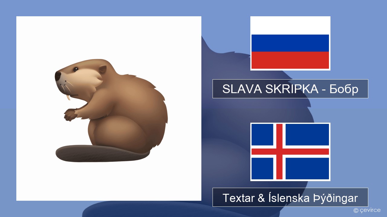 SLAVA SKRIPKA – Бобр (Beaver) Rússneska Textar & Íslenska Þýðingar