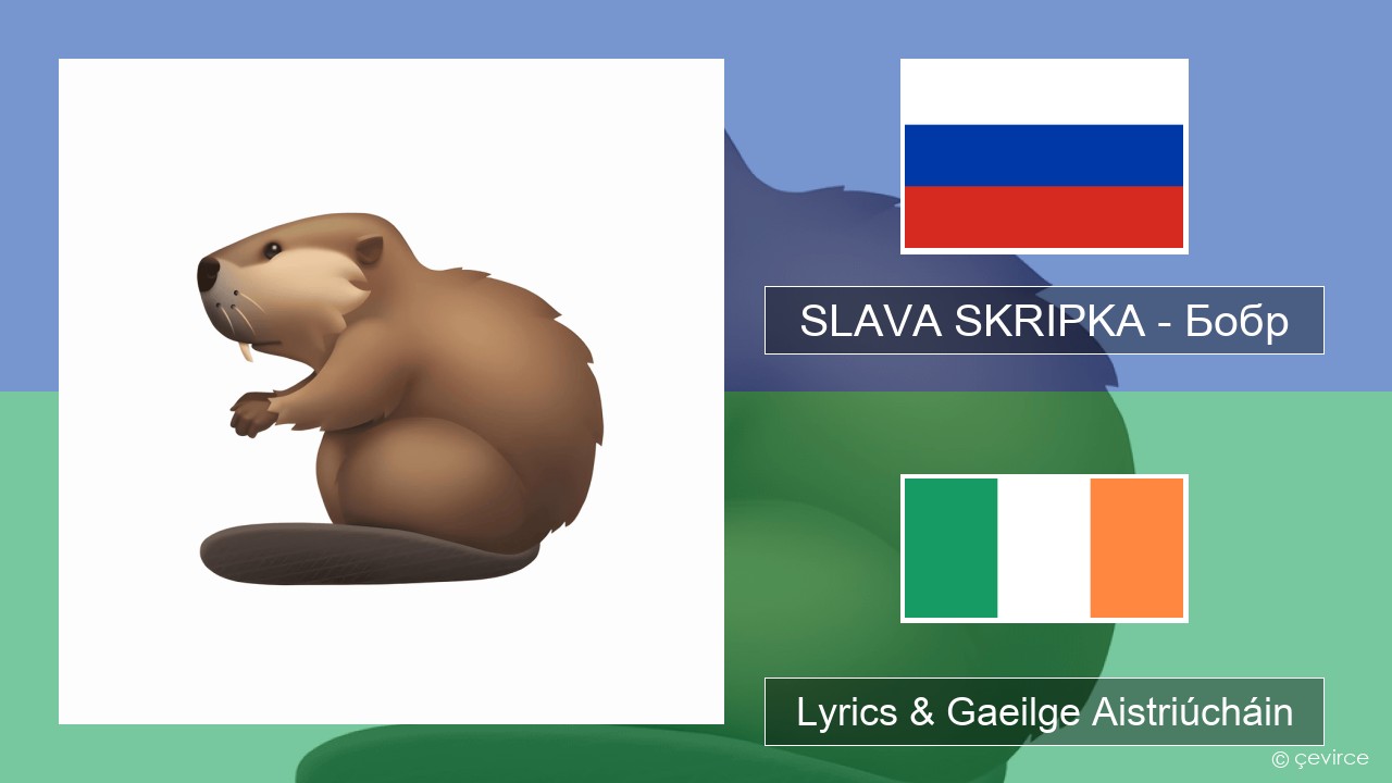 SLAVA SKRIPKA – Бобр (Beaver) Rúisis Lyrics & Gaeilge Aistriúcháin