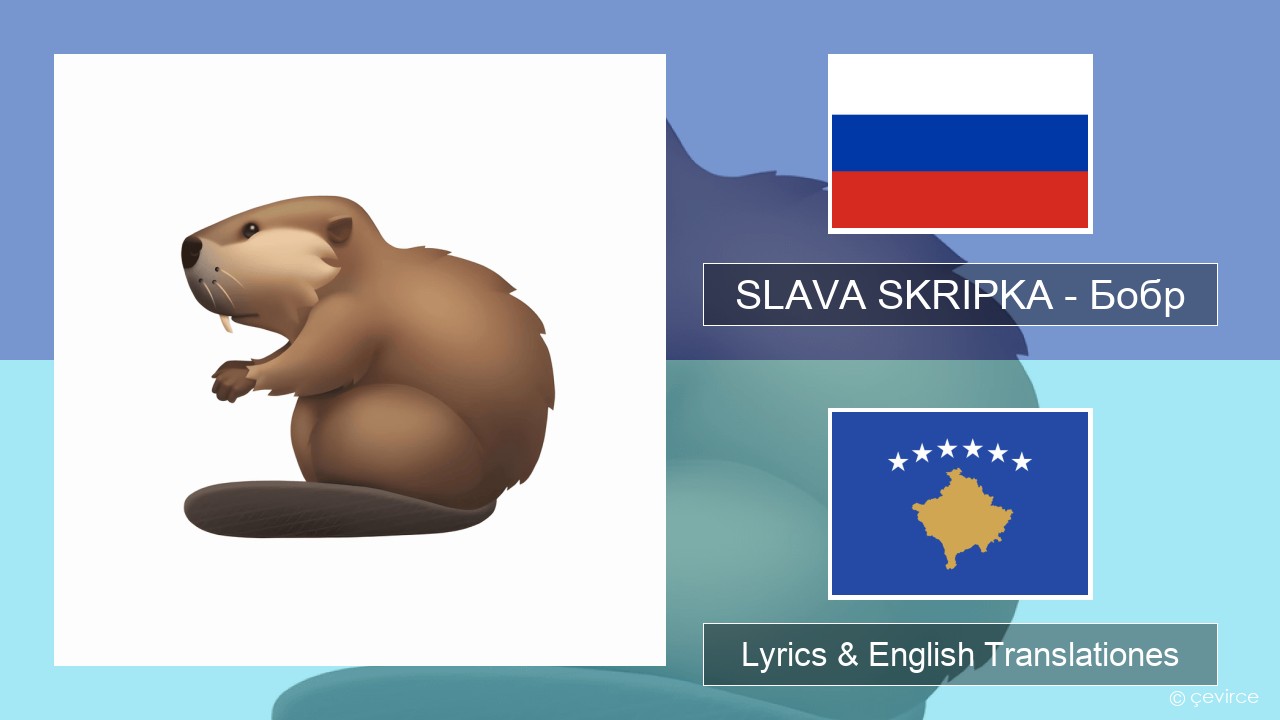 SLAVA SKRIPKA – Бобр (Beaver) Russian Lyrics & English Translationes