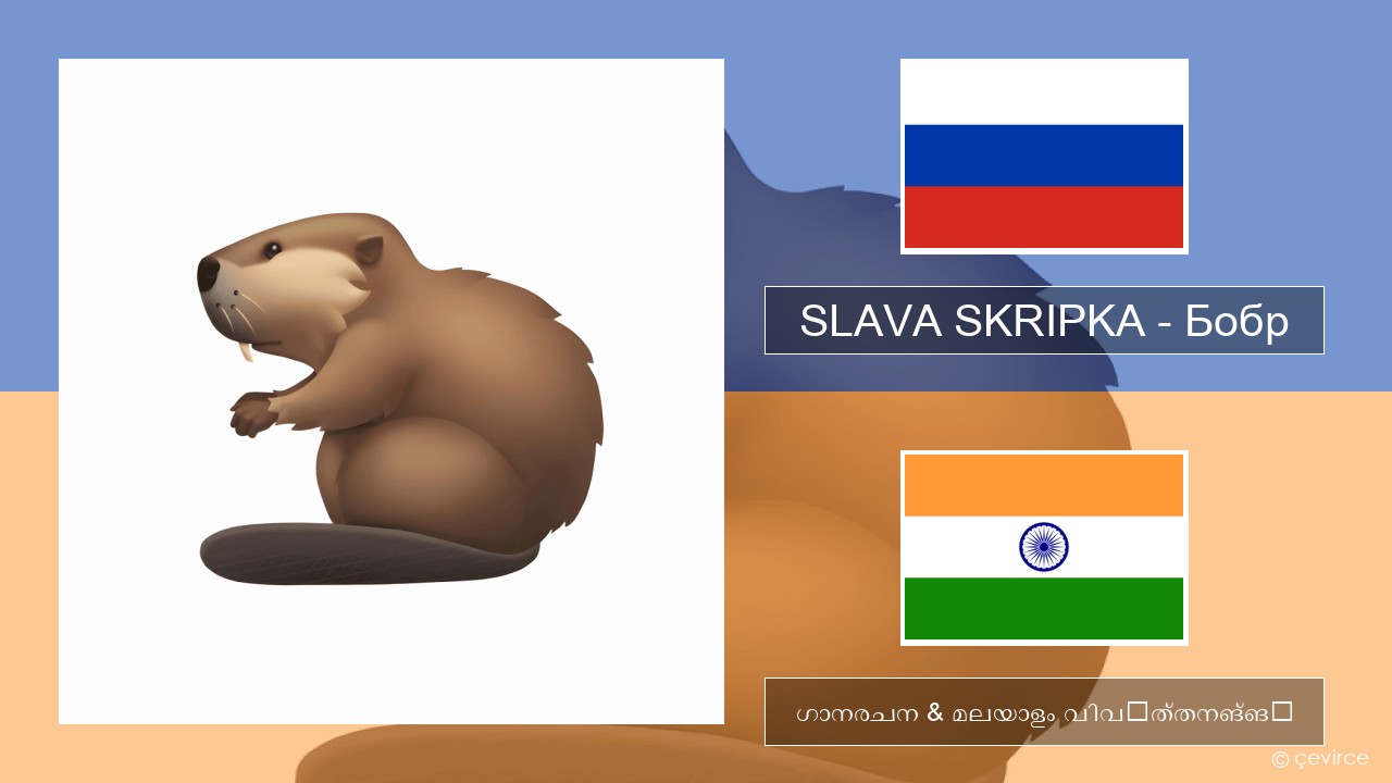 SLAVA SKRIPKA – Бобр (Beaver) റഷ്യൻ ഗാനരചന & മലയാളം വിവർത്തനങ്ങൾ