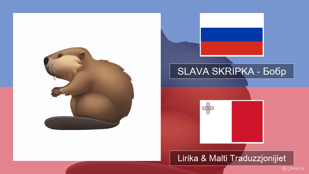 SLAVA SKRIPKA – Бобр (Beaver) Russu Lirika & Malti Traduzzjonijiet