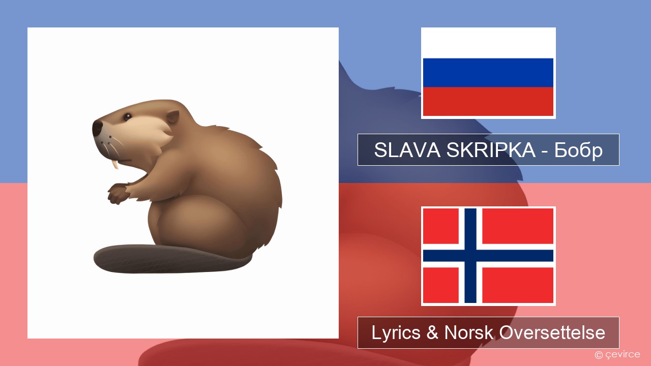 SLAVA SKRIPKA – Бобр (Beaver) Russisk Lyrics & Norsk Oversettelse