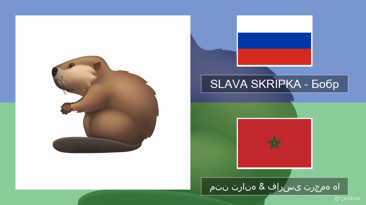 SLAVA SKRIPKA – Бобр (Beaver) روسی متن ترانه & فارسی ترجمه ها