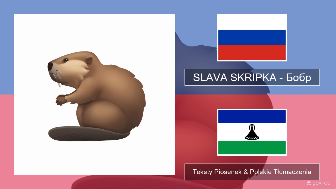 SLAVA SKRIPKA – Бобр (Beaver) Rosyjski Teksty Piosenek & Polskie Tłumaczenia