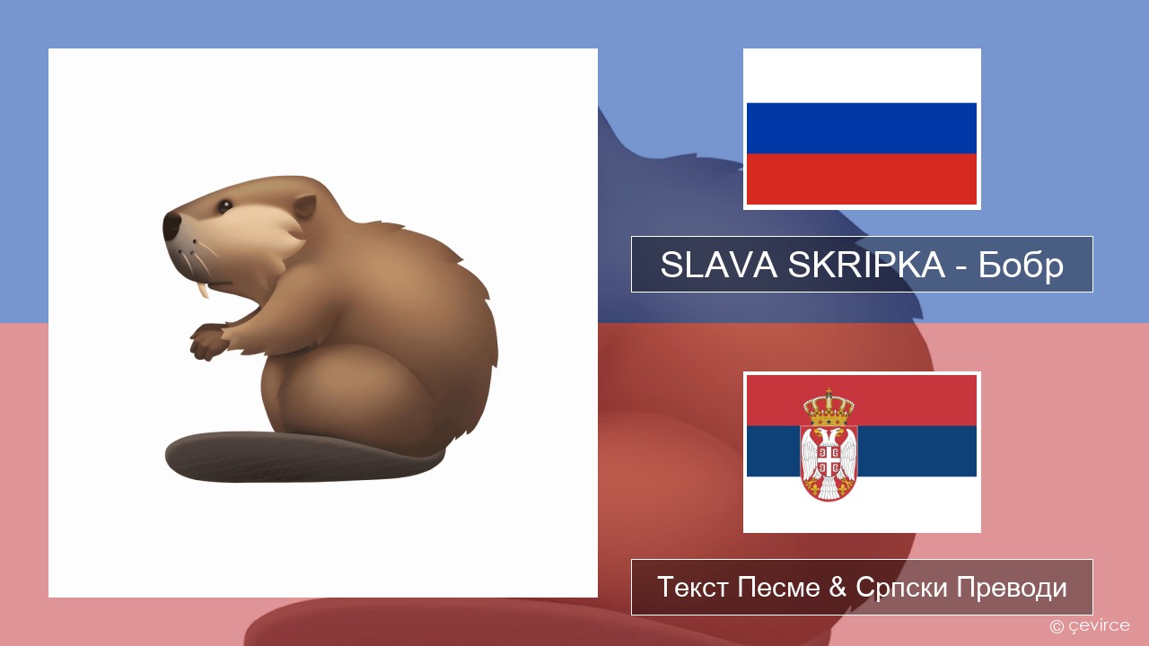 SLAVA SKRIPKA – Бобр (Beaver) Српски Текст Песме & Српски Преводи