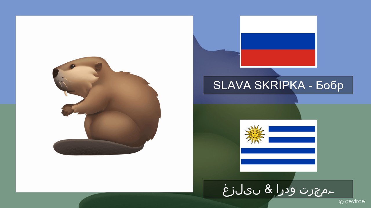 SLAVA SKRIPKA – Бобр (Beaver) روسی غزلیں & اردو ترجمہ