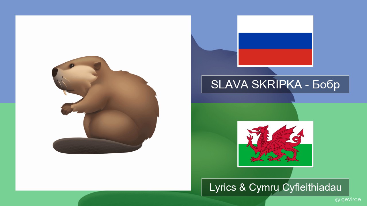 SLAVA SKRIPKA – Бобр (Beaver) Rwsia Lyrics & Cymru Cyfieithiadau