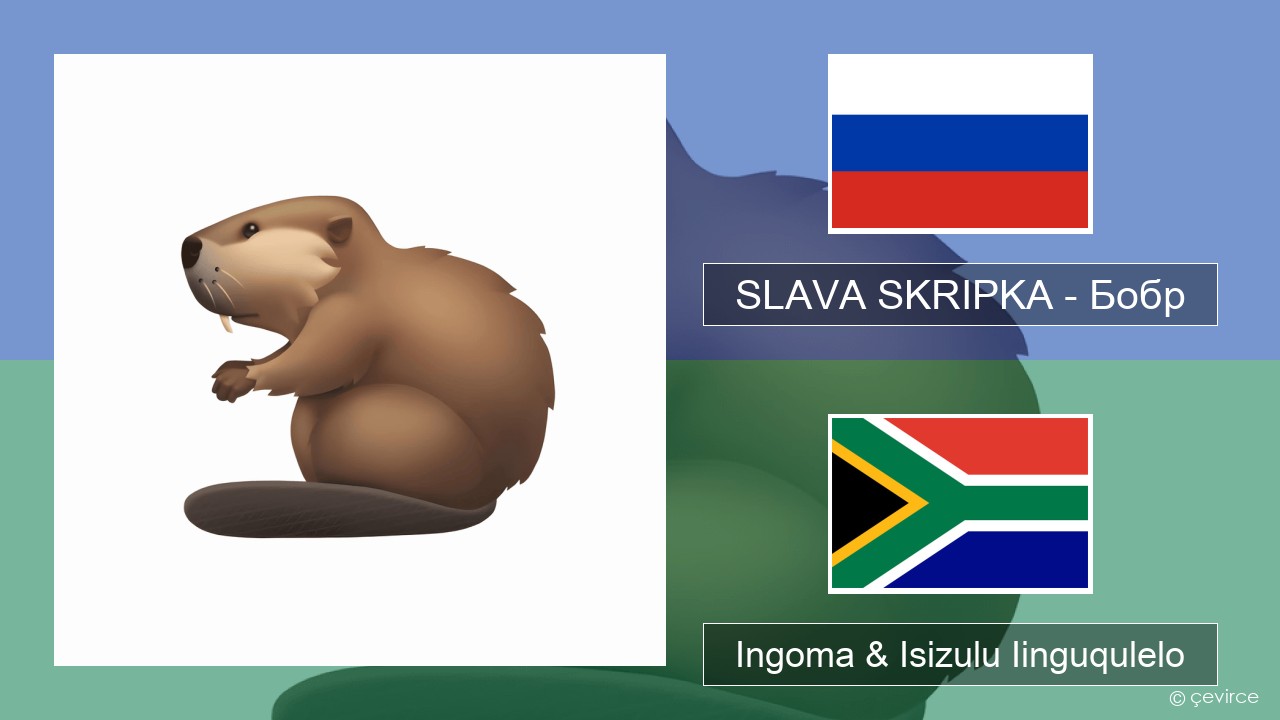 SLAVA SKRIPKA – Бобр (Beaver) Russian Ingoma & Isizulu Iinguqulelo