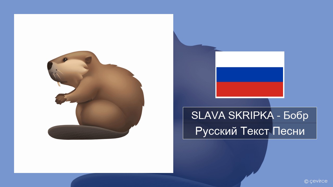 SLAVA SKRIPKA – Бобр (Beaver) Русский Текст Песни