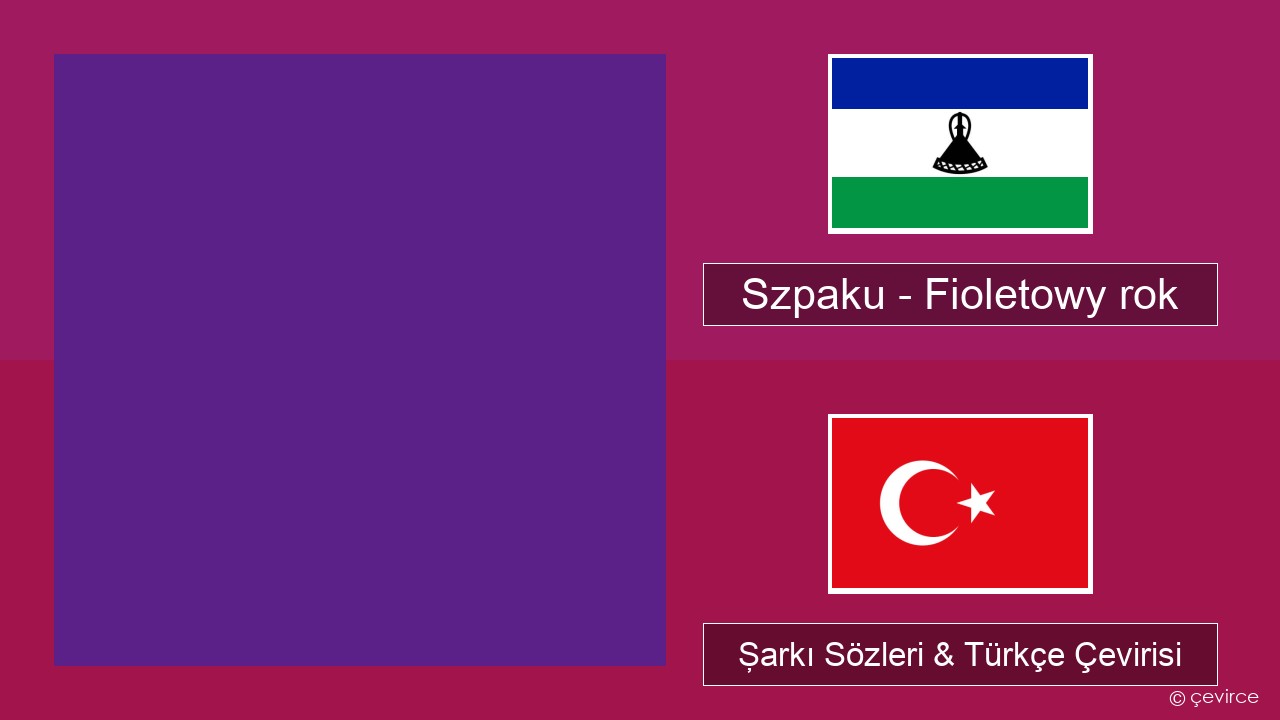 Szpaku – Fioletowy rok Lehçe Şarkı Sözleri & Türkçe Çevirisi