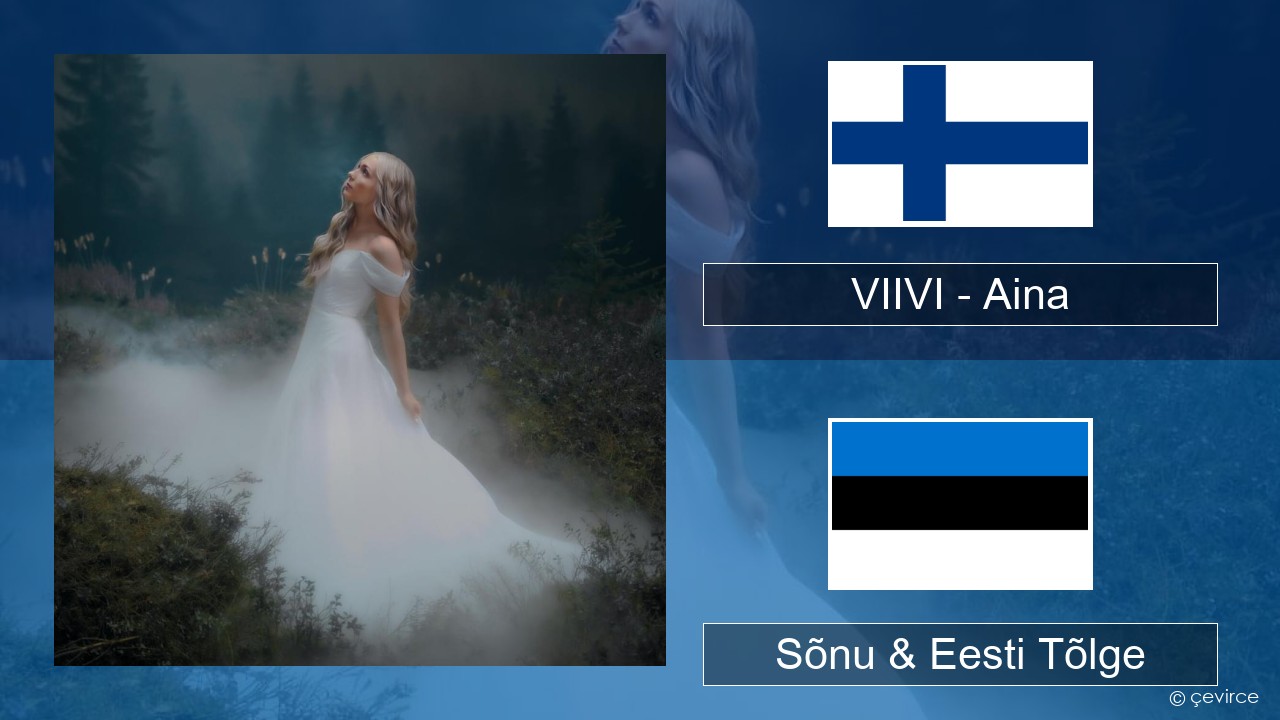 VIIVI – Aina Soome Sõnu & Eesti Tõlge