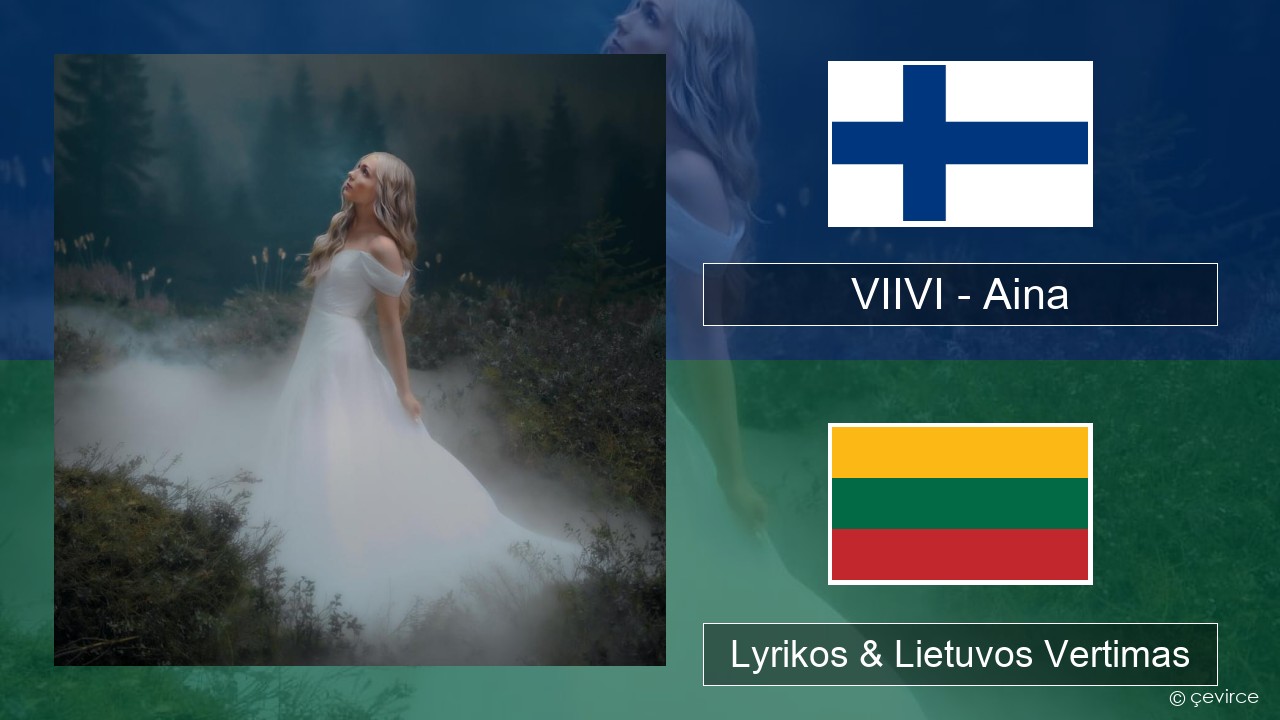 VIIVI – Aina Suomių Lyrikos & Lietuvos Vertimas